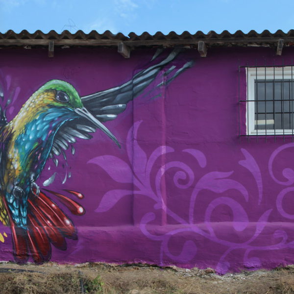 graffiti-artist-ibiza-bfree-walls02